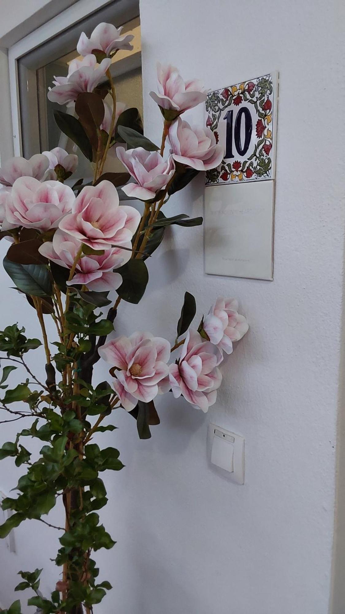Kosinmyheart Apartment 11 & Studio10 Zewnętrze zdjęcie