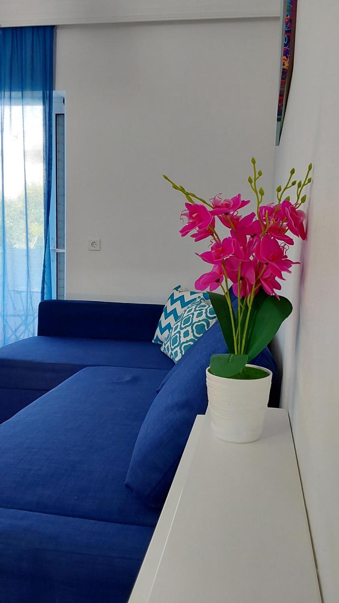 Kosinmyheart Apartment 11 & Studio10 Zewnętrze zdjęcie